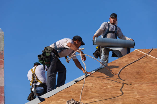 Best Roof Inspection Near Me  in Morton Grove, IL