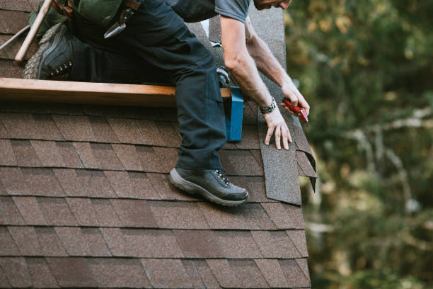 Best Flat Roof Repair Services  in Morton Grove, IL